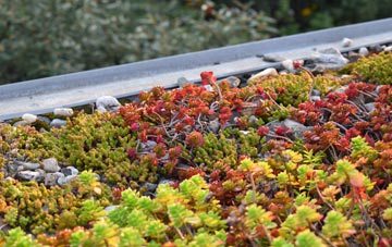 the cost of Ashford Bowdler green roof installation