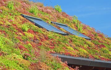 Ashford Bowdler living roof systems