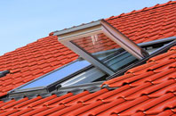 Ashford Bowdler roof window